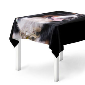 Скатерть 3D с принтом Бернский зенненхунд в Тюмени, 100% полиэстер (ткань не мнется и не растягивается) | Размер: 150*150 см | Тематика изображения на принте: бернский зенненхунд | животное | порода | собака