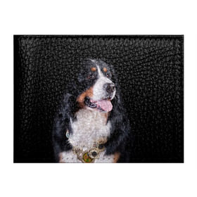 Обложка для студенческого билета с принтом Бернский зенненхунд в Тюмени, натуральная кожа | Размер: 11*8 см; Печать на всей внешней стороне | Тематика изображения на принте: бернский зенненхунд | животное | порода | собака