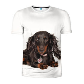 Мужская футболка 3D спортивная с принтом Карликовая такса в Тюмени, 100% полиэстер с улучшенными характеристиками | приталенный силуэт, круглая горловина, широкие плечи, сужается к линии бедра | Тематика изображения на принте: животное | карликовая такса | порода | собака