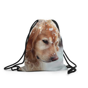 Рюкзак-мешок 3D с принтом Золотистый ретривер в Тюмени, 100% полиэстер | плотность ткани — 200 г/м2, размер — 35 х 45 см; лямки — толстые шнурки, застежка на шнуровке, без карманов и подкладки | животное | золотистый ретривер | порода | собака