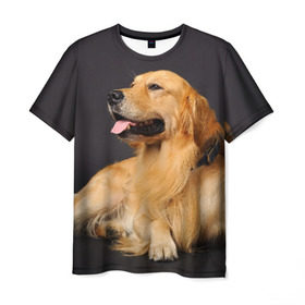 Мужская футболка 3D с принтом Золотистый ретривер в Тюмени, 100% полиэфир | прямой крой, круглый вырез горловины, длина до линии бедер | Тематика изображения на принте: животное | золотистый ретривер | порода | собака