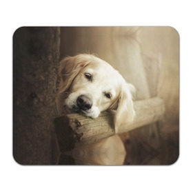 Коврик прямоугольный с принтом Золотистый ретривер в Тюмени, натуральный каучук | размер 230 х 185 мм; запечатка лицевой стороны | Тематика изображения на принте: животное | золотистый ретривер | порода | собака