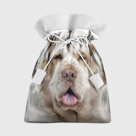 Подарочный 3D мешок с принтом Кламбер-спаниель в Тюмени, 100% полиэстер | Размер: 29*39 см | животное | кламбер спаниель | порода | собака