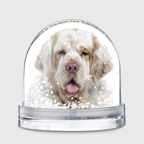Водяной шар с принтом Кламбер-спаниель в Тюмени, Пластик | Изображение внутри шара печатается на глянцевой фотобумаге с двух сторон | животное | кламбер спаниель | порода | собака