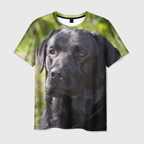 Мужская футболка 3D с принтом Лабрадор в Тюмени, 100% полиэфир | прямой крой, круглый вырез горловины, длина до линии бедер | животное | лабрадор | порода | собака