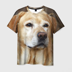 Мужская футболка 3D с принтом Лабрадор в Тюмени, 100% полиэфир | прямой крой, круглый вырез горловины, длина до линии бедер | животное | лабрадор | порода | собака
