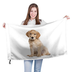 Флаг 3D с принтом Золотистый ретривер в Тюмени, 100% полиэстер | плотность ткани — 95 г/м2, размер — 67 х 109 см. Принт наносится с одной стороны | животное | золотистый ретривер | порода | собака