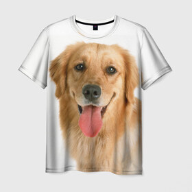 Мужская футболка 3D с принтом Золотистый ретривер в Тюмени, 100% полиэфир | прямой крой, круглый вырез горловины, длина до линии бедер | Тематика изображения на принте: животное | золотистый ретривер | порода | собака