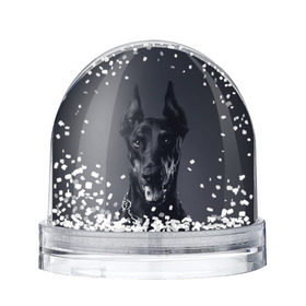 Снежный шар с принтом Доберман в Тюмени, Пластик | Изображение внутри шара печатается на глянцевой фотобумаге с двух сторон | доберман | животное | порода | собака
