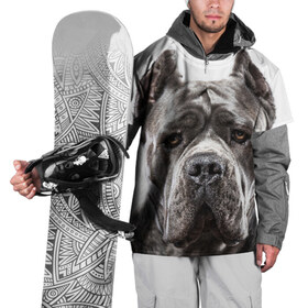 Накидка на куртку 3D с принтом Канне корсо в Тюмени, 100% полиэстер |  | Тематика изображения на принте: животное | канне корсо | порода | собака