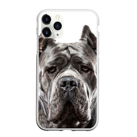 Чехол для iPhone 11 Pro Max матовый с принтом Канне корсо в Тюмени, Силикон |  | животное | канне корсо | порода | собака