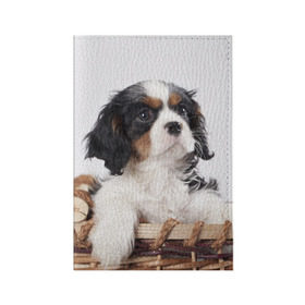 Обложка для паспорта матовая кожа с принтом Кинг чарльз спаниель в Тюмени, натуральная матовая кожа | размер 19,3 х 13,7 см; прозрачные пластиковые крепления | животное | кинг чарльз спаниель | порода | собака
