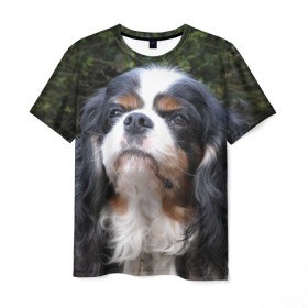 Мужская футболка 3D с принтом Кинг чарльз спаниель в Тюмени, 100% полиэфир | прямой крой, круглый вырез горловины, длина до линии бедер | животное | кинг чарльз спаниель | порода | собака