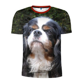 Мужская футболка 3D спортивная с принтом Кинг чарльз спаниель в Тюмени, 100% полиэстер с улучшенными характеристиками | приталенный силуэт, круглая горловина, широкие плечи, сужается к линии бедра | животное | кинг чарльз спаниель | порода | собака