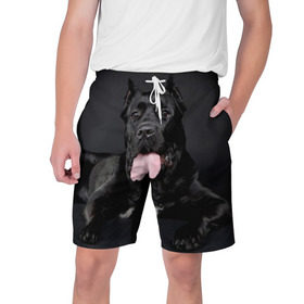 Мужские шорты 3D с принтом Канне корсо в Тюмени,  полиэстер 100% | прямой крой, два кармана без застежек по бокам. Мягкая трикотажная резинка на поясе, внутри которой широкие завязки. Длина чуть выше колен | животное | канне корсо | порода | собака