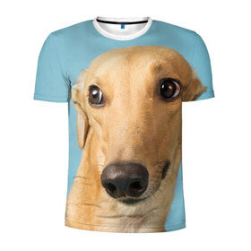Мужская футболка 3D спортивная с принтом Левретка в Тюмени, 100% полиэстер с улучшенными характеристиками | приталенный силуэт, круглая горловина, широкие плечи, сужается к линии бедра | животное | порода | собака