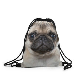 Рюкзак-мешок 3D с принтом Мопс в Тюмени, 100% полиэстер | плотность ткани — 200 г/м2, размер — 35 х 45 см; лямки — толстые шнурки, застежка на шнуровке, без карманов и подкладки | Тематика изображения на принте: животное | мопс | порода | собака