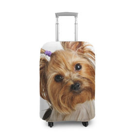 Чехол для чемодана 3D с принтом Йоркширский терьер в Тюмени, 86% полиэфир, 14% спандекс | двустороннее нанесение принта, прорези для ручек и колес | животное | йоркширский терьер | порода | собака