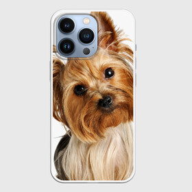 Чехол для iPhone 13 Pro с принтом Йоркширский терьер в Тюмени,  |  | животное | йоркширский терьер | порода | собака