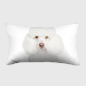 Подушка 3D антистресс с принтом Белый пудель в Тюмени, наволочка — 100% полиэстер, наполнитель — вспененный полистирол | состоит из подушки и наволочки на молнии | белый пудель | животное | порода | собака