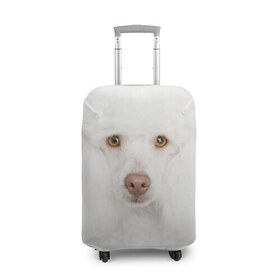 Чехол для чемодана 3D с принтом Белый пудель в Тюмени, 86% полиэфир, 14% спандекс | двустороннее нанесение принта, прорези для ручек и колес | белый пудель | животное | порода | собака