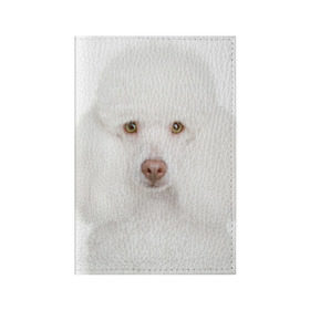 Обложка для паспорта матовая кожа с принтом Белый пудель в Тюмени, натуральная матовая кожа | размер 19,3 х 13,7 см; прозрачные пластиковые крепления | белый пудель | животное | порода | собака