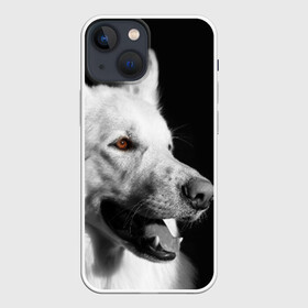 Чехол для iPhone 13 mini с принтом Белая овчарка в Тюмени,  |  | белая овчарка | животное | порода | собака