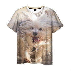 Мужская футболка 3D с принтом Мохнатая собака в Тюмени, 100% полиэфир | прямой крой, круглый вырез горловины, длина до линии бедер | животное | мохнатая собака | порода | собака