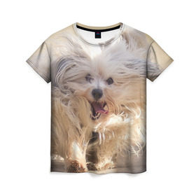 Женская футболка 3D с принтом Мохнатая собака в Тюмени, 100% полиэфир ( синтетическое хлопкоподобное полотно) | прямой крой, круглый вырез горловины, длина до линии бедер | животное | мохнатая собака | порода | собака