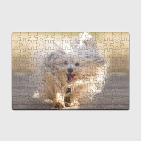 Пазл магнитный 126 элементов с принтом Мохнатая собака в Тюмени, полимерный материал с магнитным слоем | 126 деталей, размер изделия —  180*270 мм | животное | мохнатая собака | порода | собака