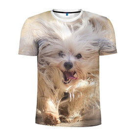 Мужская футболка 3D спортивная с принтом Мохнатая собака в Тюмени, 100% полиэстер с улучшенными характеристиками | приталенный силуэт, круглая горловина, широкие плечи, сужается к линии бедра | животное | мохнатая собака | порода | собака