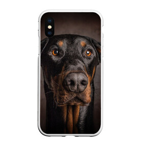 Чехол для iPhone XS Max матовый с принтом Доберман в Тюмени, Силикон | Область печати: задняя сторона чехла, без боковых панелей | доберман | животное | порода | собака