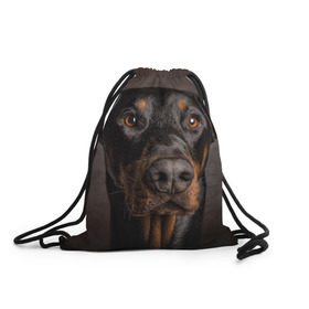 Рюкзак-мешок 3D с принтом Доберман в Тюмени, 100% полиэстер | плотность ткани — 200 г/м2, размер — 35 х 45 см; лямки — толстые шнурки, застежка на шнуровке, без карманов и подкладки | Тематика изображения на принте: доберман | животное | порода | собака