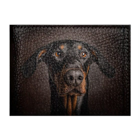 Обложка для студенческого билета с принтом Доберман в Тюмени, натуральная кожа | Размер: 11*8 см; Печать на всей внешней стороне | доберман | животное | порода | собака