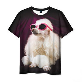 Мужская футболка 3D с принтом Пудель в очках в Тюмени, 100% полиэфир | прямой крой, круглый вырез горловины, длина до линии бедер | Тематика изображения на принте: животное | порода | пудель в очках | собака