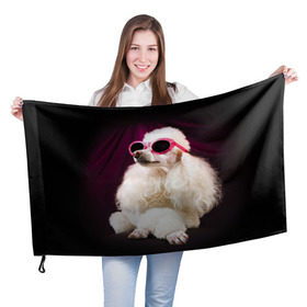 Флаг 3D с принтом Пудель в очках в Тюмени, 100% полиэстер | плотность ткани — 95 г/м2, размер — 67 х 109 см. Принт наносится с одной стороны | животное | порода | пудель в очках | собака