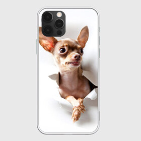 Чехол для iPhone 12 Pro Max с принтом Той-терьер в Тюмени, Силикон |  | Тематика изображения на принте: животное | порода | собака | той терьер