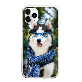 Чехол для iPhone 11 Pro матовый с принтом Хаски в Тюмени, Силикон |  | животное | порода | собака | хаски