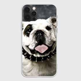 Чехол для iPhone 12 Pro Max с принтом Английский бульдог в Тюмени, Силикон |  | Тематика изображения на принте: животное | порода | собака | французский бульдог