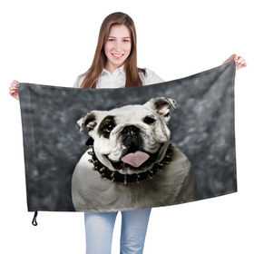 Флаг 3D с принтом Английский бульдог в Тюмени, 100% полиэстер | плотность ткани — 95 г/м2, размер — 67 х 109 см. Принт наносится с одной стороны | животное | порода | собака | французский бульдог