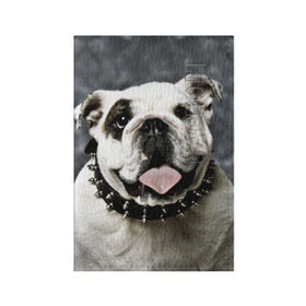 Обложка для паспорта матовая кожа с принтом Английский бульдог в Тюмени, натуральная матовая кожа | размер 19,3 х 13,7 см; прозрачные пластиковые крепления | животное | порода | собака | французский бульдог