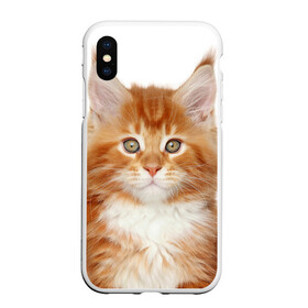 Чехол для iPhone XS Max матовый с принтом Рыжий котенок в Тюмени, Силикон | Область печати: задняя сторона чехла, без боковых панелей | Тематика изображения на принте: животное | порода | рыжий котенок