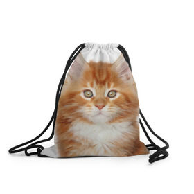 Рюкзак-мешок 3D с принтом Рыжий котенок в Тюмени, 100% полиэстер | плотность ткани — 200 г/м2, размер — 35 х 45 см; лямки — толстые шнурки, застежка на шнуровке, без карманов и подкладки | животное | порода | рыжий котенок