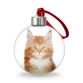 Ёлочный шар с принтом Рыжий котенок в Тюмени, Пластик | Диаметр: 77 мм | животное | порода | рыжий котенок