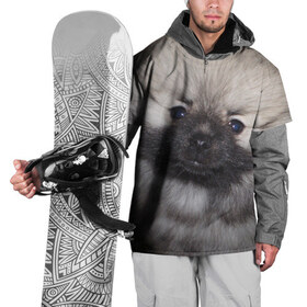 Накидка на куртку 3D с принтом Кеесхонд в Тюмени, 100% полиэстер |  | животное | кеесхонд | порода | собака