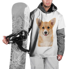 Накидка на куртку 3D с принтом Пемброк-вельш-корги в Тюмени, 100% полиэстер |  | животное | пемброк вельш корги | порода | собака