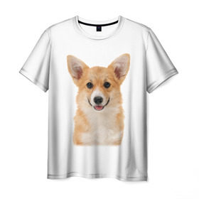 Мужская футболка 3D с принтом Пемброк-вельш-корги в Тюмени, 100% полиэфир | прямой крой, круглый вырез горловины, длина до линии бедер | Тематика изображения на принте: животное | пемброк вельш корги | порода | собака