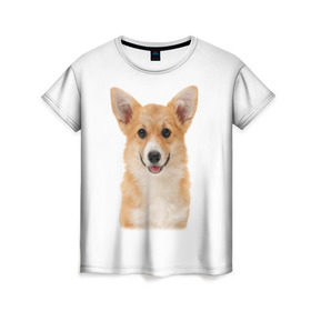 Женская футболка 3D с принтом Пемброк-вельш-корги в Тюмени, 100% полиэфир ( синтетическое хлопкоподобное полотно) | прямой крой, круглый вырез горловины, длина до линии бедер | Тематика изображения на принте: животное | пемброк вельш корги | порода | собака