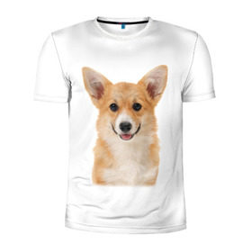 Мужская футболка 3D спортивная с принтом Пемброк-вельш-корги в Тюмени, 100% полиэстер с улучшенными характеристиками | приталенный силуэт, круглая горловина, широкие плечи, сужается к линии бедра | животное | пемброк вельш корги | порода | собака