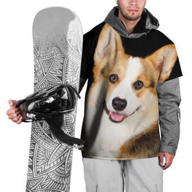 Накидка на куртку 3D с принтом Пемброк-вельш-корги в Тюмени, 100% полиэстер |  | животное | пемброк вельш корги | порода | собака